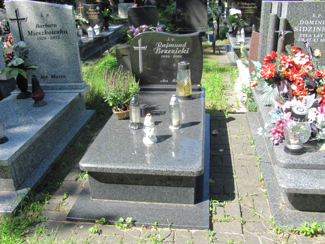 Grób Rajmund Brzezicki