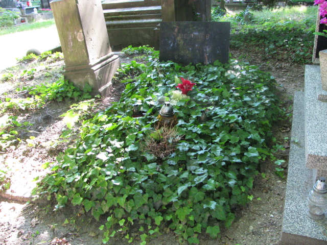 Grób Janusz Mejsner