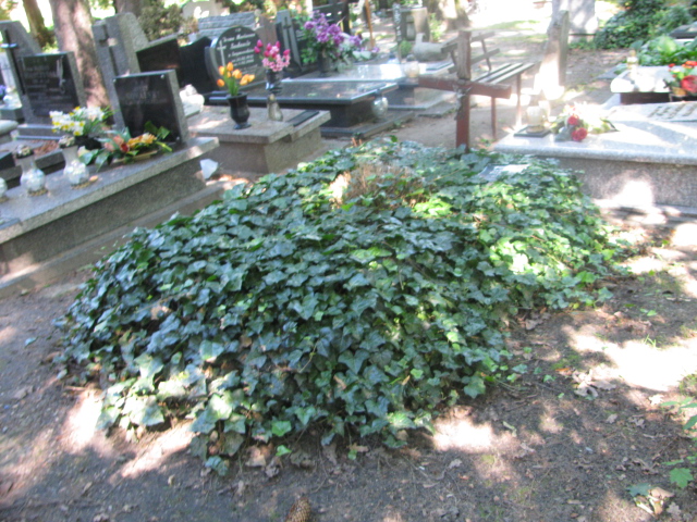 Grób Janina Pilecka