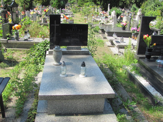 Grób Janina Kalicka